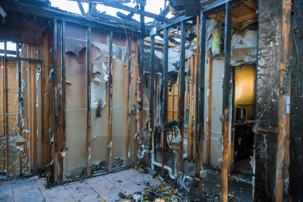 Professional Soot Cleanup technician working in Foley, MN
